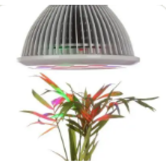 Plant lamp Plant lamp